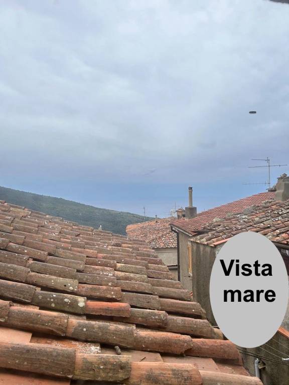 appartamento in vendita ad Isola del Giglio in zona Giglio Castello