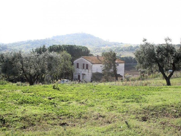 casa indipendente in vendita a Magliano in Toscana