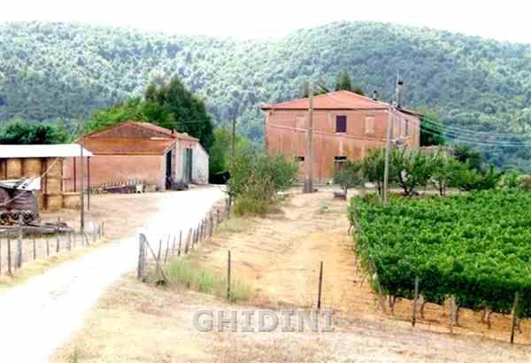 casa indipendente in vendita a Magliano in Toscana