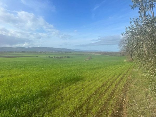 appartamento in vendita a Magliano in Toscana