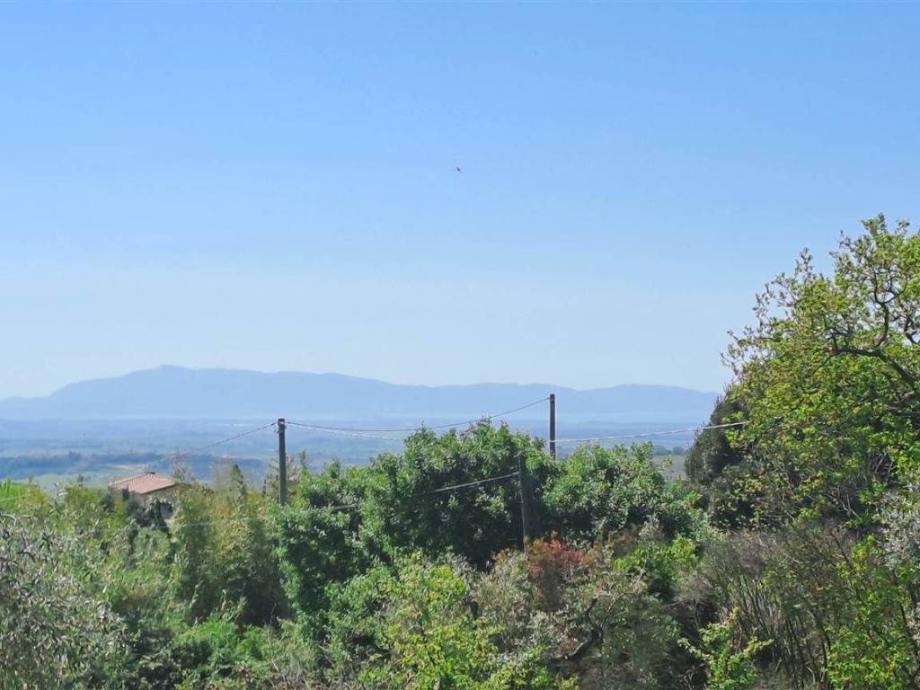 casa indipendente in vendita a Magliano in Toscana in zona Pereta