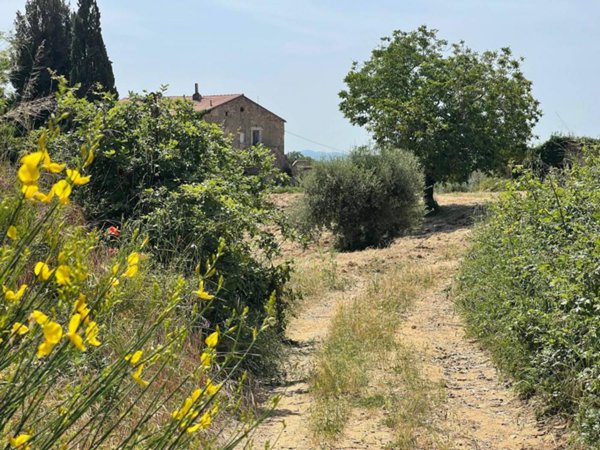 casa indipendente in vendita a Magliano in Toscana in zona Pereta