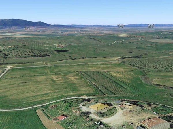 terreno agricolo in vendita a Magliano in Toscana