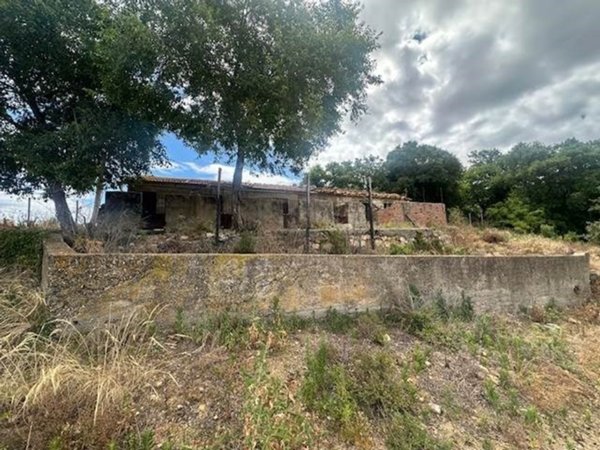 casa indipendente in vendita a Magliano in Toscana