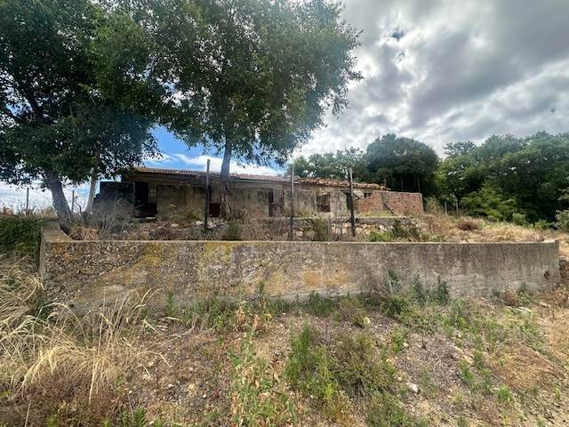 casa indipendente in vendita a Magliano in Toscana
