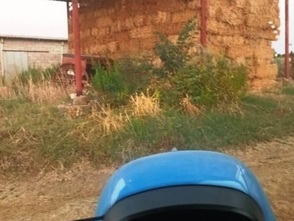terreno agricolo in vendita a Magliano in Toscana