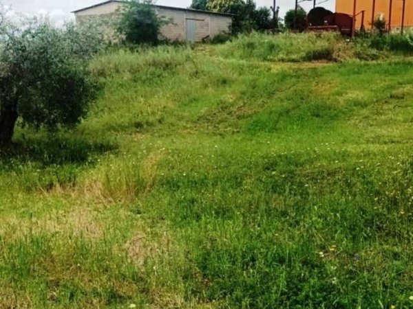 terreno agricolo in vendita a Magliano in Toscana