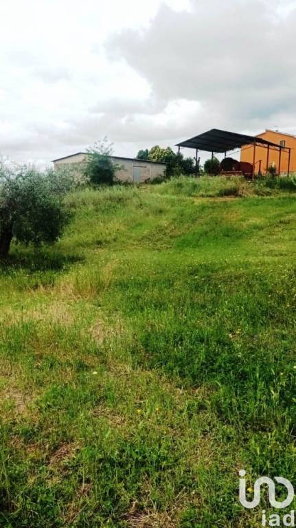 terreno agricolo in vendita a Magliano in Toscana
