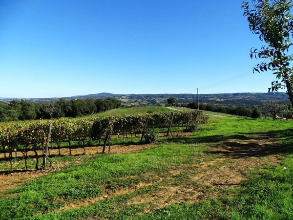 casa indipendente in vendita a Magliano in Toscana