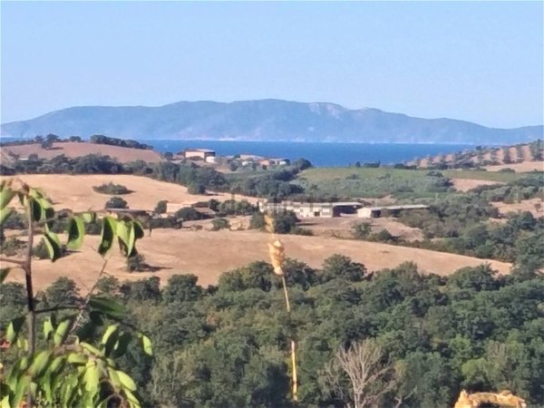 casa indipendente in vendita a Magliano in Toscana