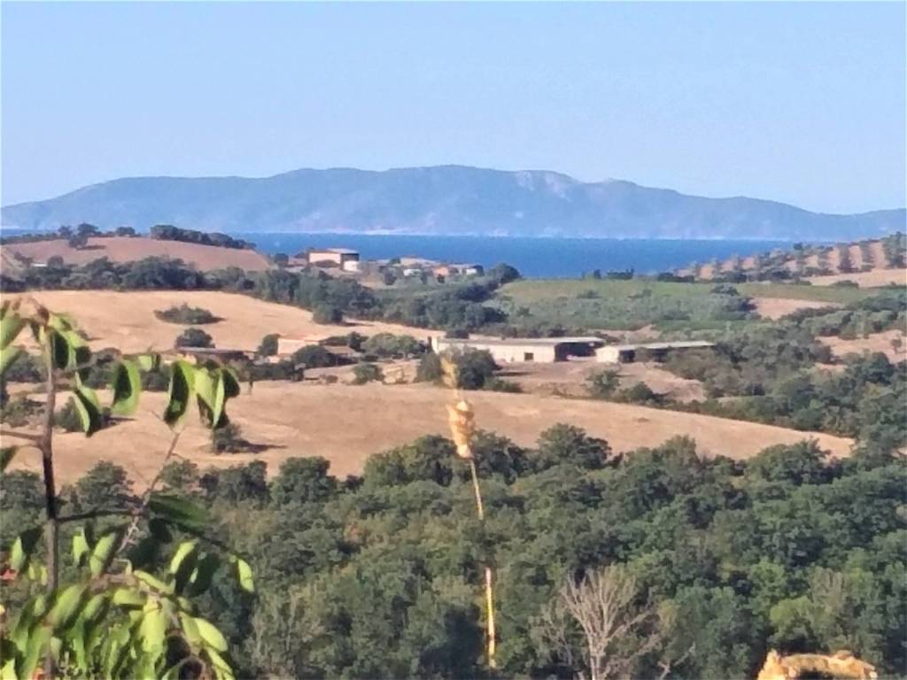 casa indipendente in vendita a Magliano in Toscana
