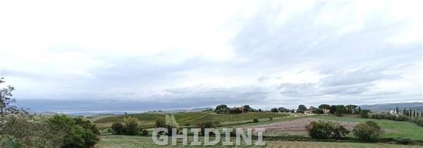 azienda agricola in vendita a Magliano in Toscana in zona Sant'Andrea