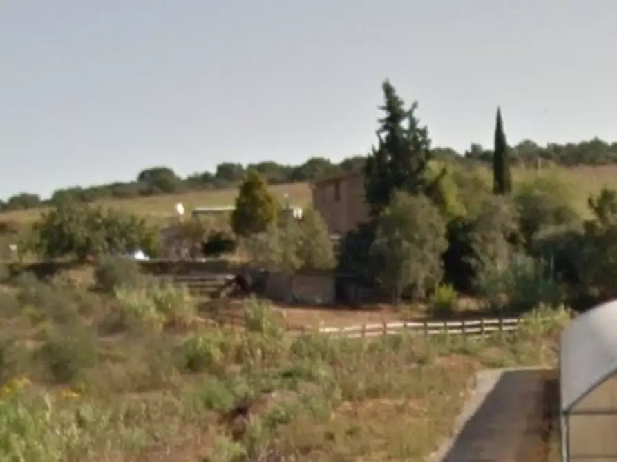 azienda agricola in vendita a Magliano in Toscana