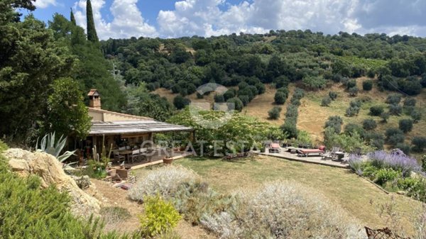 casa indipendente in vendita a Magliano in Toscana