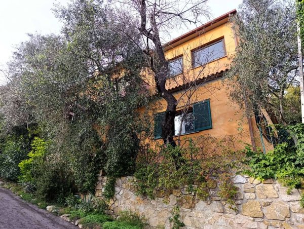 casa indipendente in vendita a Magliano in Toscana in zona Pereta