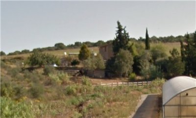 azienda agricola in vendita a Magliano in Toscana