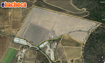 appartamento in vendita a Magliano in Toscana