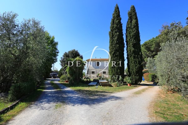 azienda agricola in vendita a Magliano in Toscana in zona Sant'Andrea