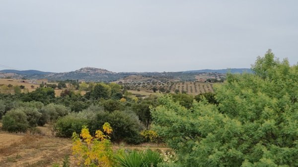 locale di sgombero in vendita a Magliano in Toscana in zona Montiano