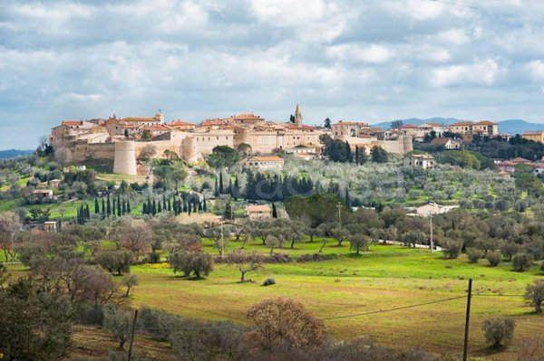casa indipendente in vendita a Magliano in Toscana