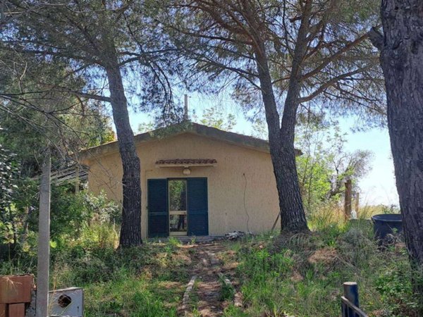 casa indipendente in vendita a Magliano in Toscana in zona Pereta