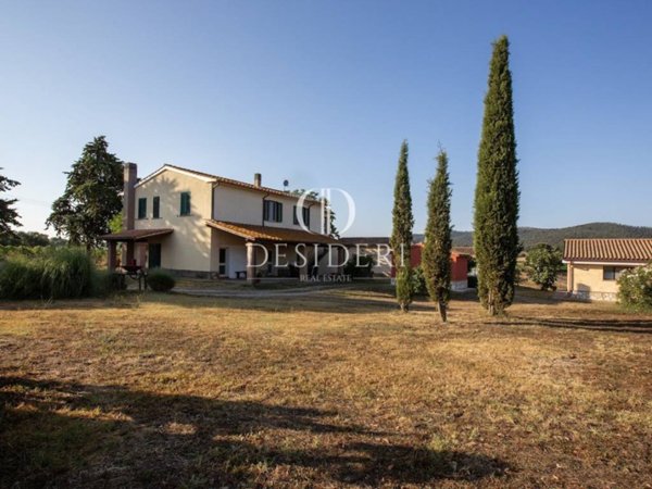 terreno agricolo in vendita a Magliano in Toscana