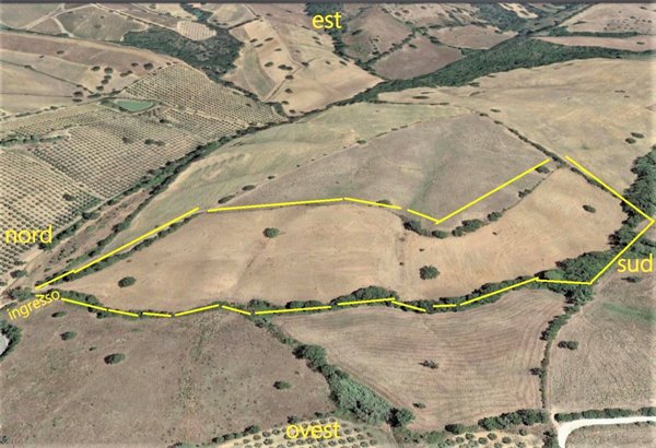 terreno agricolo in vendita a Magliano in Toscana