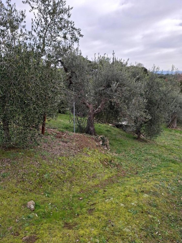 casa indipendente in vendita a Magliano in Toscana