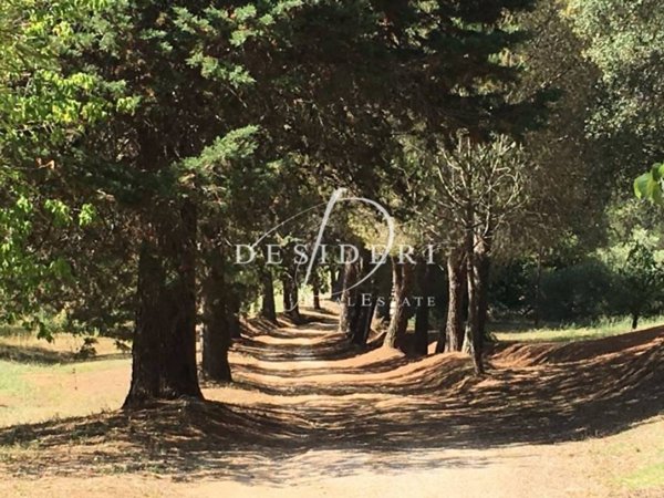 terreno agricolo in vendita a Magliano in Toscana