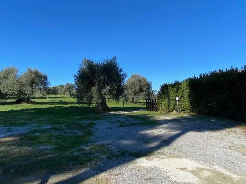 casa indipendente in vendita a Magliano in Toscana in zona Montiano