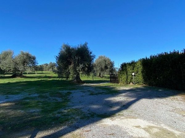 casa indipendente in vendita a Magliano in Toscana in zona Montiano