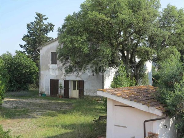 casa indipendente in vendita a Magliano in Toscana in zona Montiano