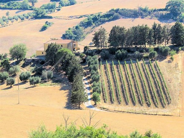 casa indipendente in vendita a Magliano in Toscana in zona Pereta