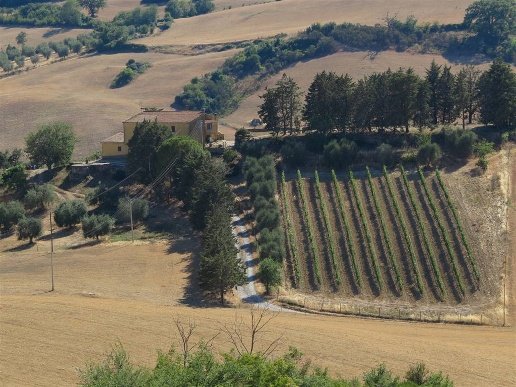 casa indipendente in vendita a Magliano in Toscana in zona Pereta