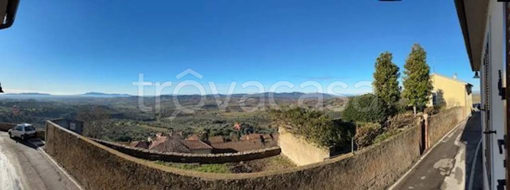 appartamento in vendita a Magliano in Toscana in zona Montiano