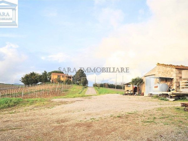 casa indipendente in vendita a Magliano in Toscana in zona Sant'Andrea