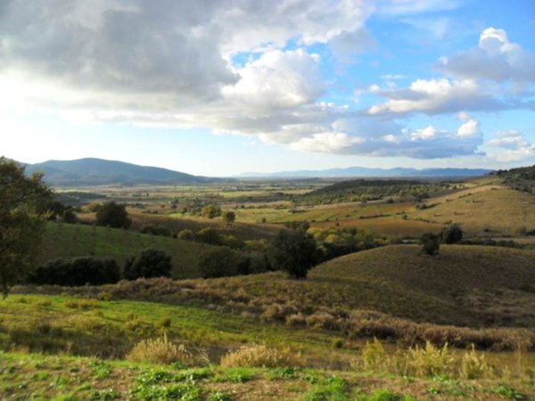 casa indipendente in vendita a Magliano in Toscana in zona Montiano