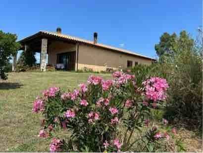 casa indipendente in vendita a Magliano in Toscana