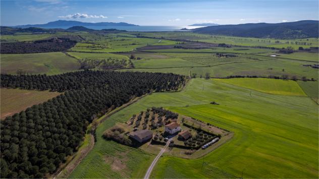 negozio in vendita a Magliano in Toscana