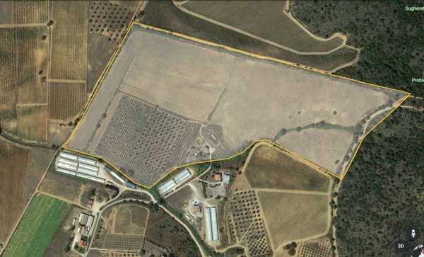 azienda agricola in vendita a Magliano in Toscana