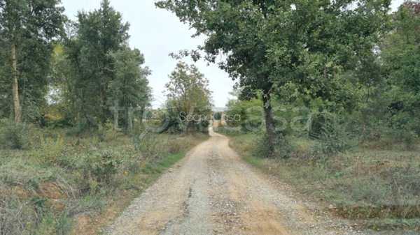 casa indipendente in vendita a Magliano in Toscana in zona Montiano