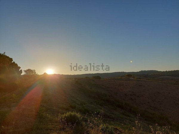 casa indipendente in vendita a Magliano in Toscana