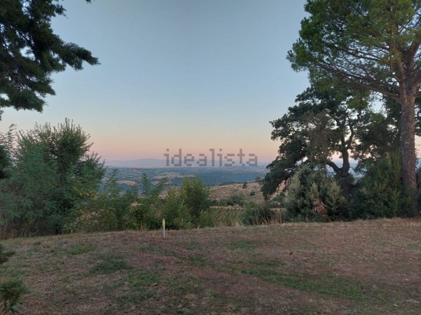 casale in vendita a Magliano in Toscana