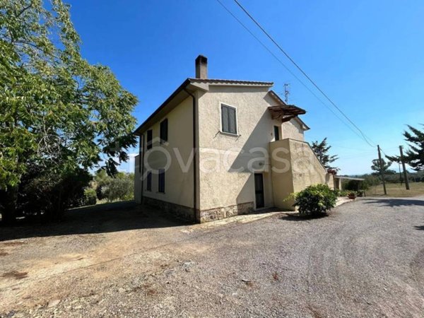 casa indipendente in vendita a Magliano in Toscana