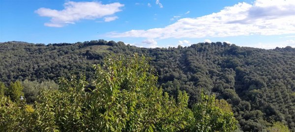 appartamento in vendita a Magliano in Toscana in zona Pereta