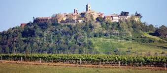 appartamento in vendita a Magliano in Toscana in zona Montiano