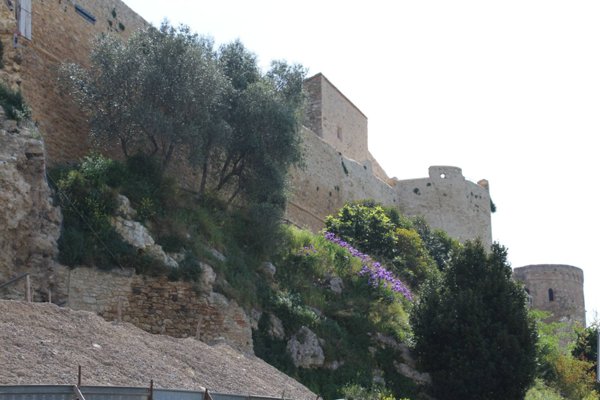 casa indipendente in vendita a Magliano in Toscana