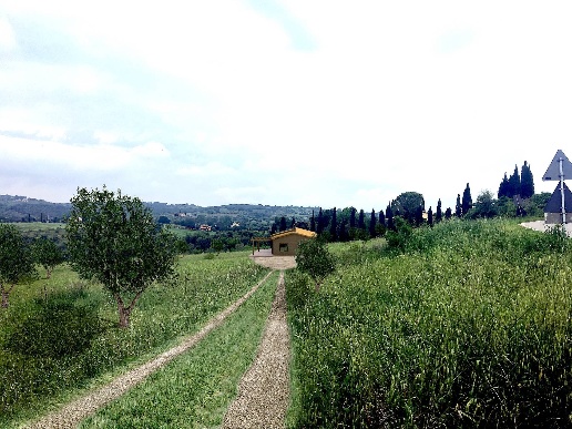 casa indipendente in vendita a Magliano in Toscana