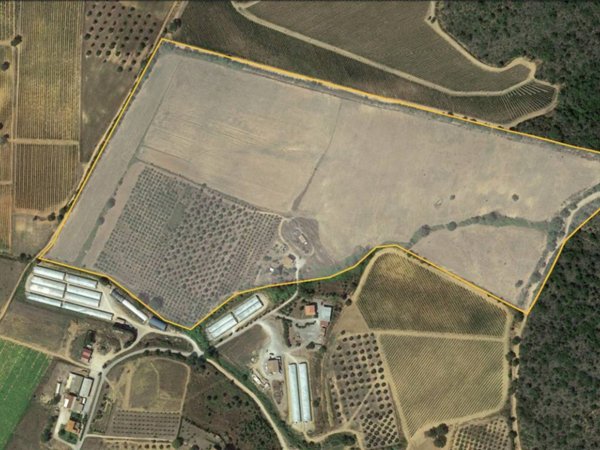 negozio in vendita a Magliano in Toscana