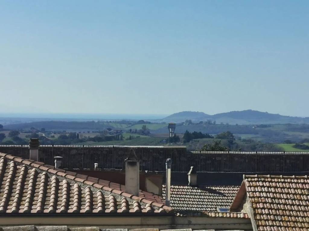 appartamento in vendita a Magliano in Toscana